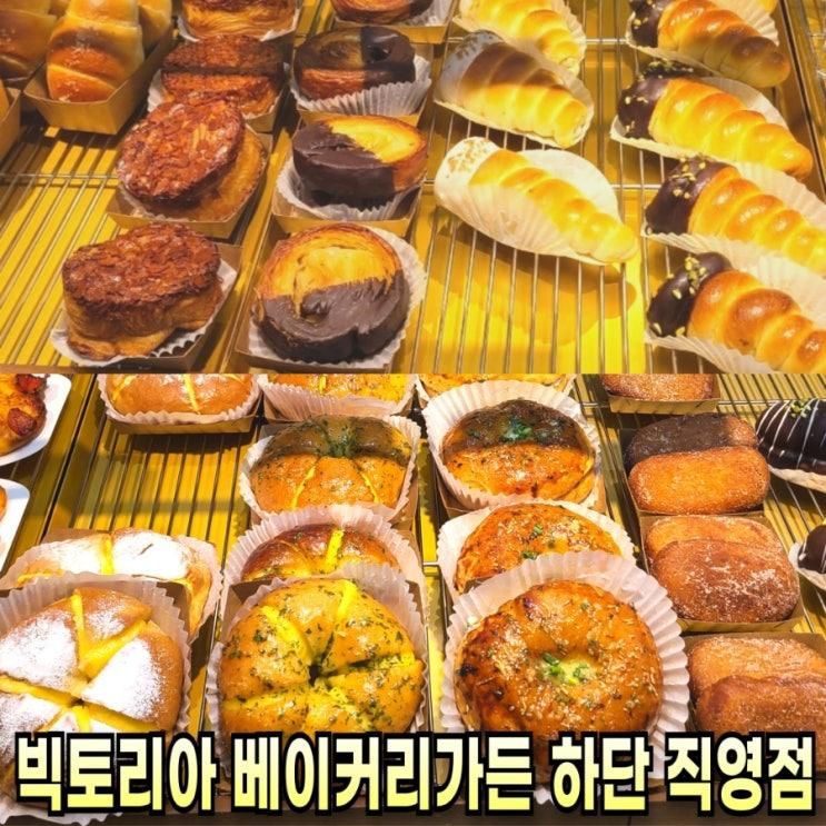 빵지순례. 빅토리아 베이커리가든 하단직영점. 부산빵집 찐추천
