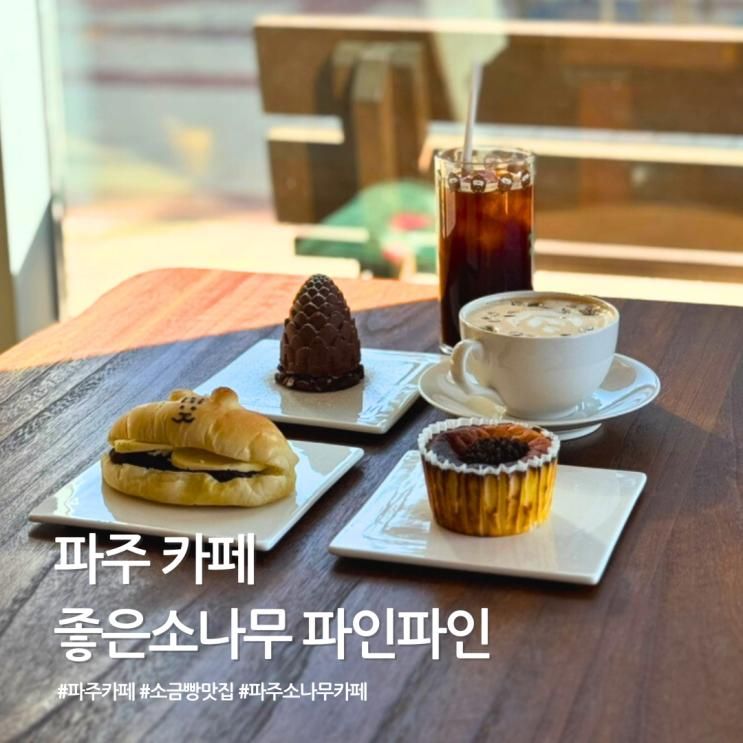 파주 파인파인 카페 후기｜좋은소나무 숲뷰 감성카페