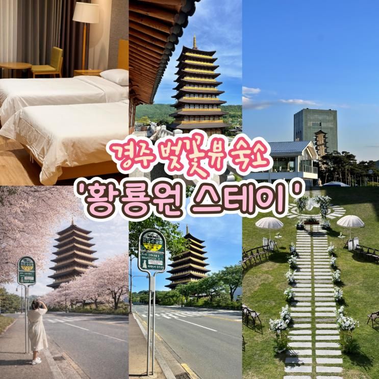 경주 숙소 추천｜황룡원 스테이 보문단지 벚꽃시즌 숙박 후기