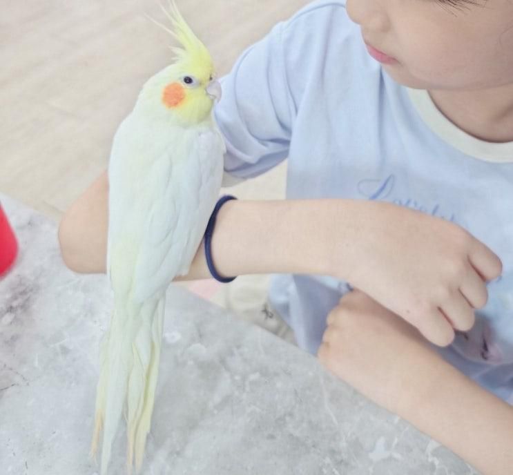 남양주 아이와 가볼만한 곳 이색 카페 버드소리 남양주점