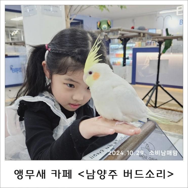 아이랑 가기 좋은 남양주 앵무새 카페_ 버드소리 남양주점