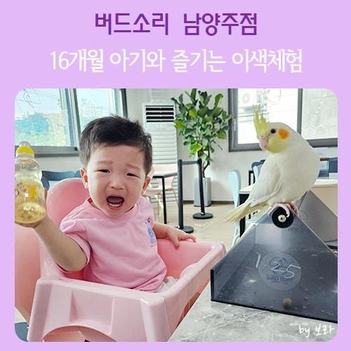 버드소리 남양주점 / 남양주시 16개월 아기랑 카페 즐기기... 