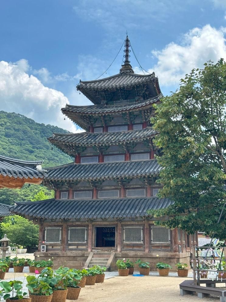 속리산 법주사 팔상전 보은 사찰 세조길 산책 힐링 가득 충북 여행