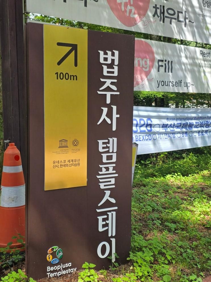 속리산 법주사 템플스테이 휴식형 청춘템플스테이 후기