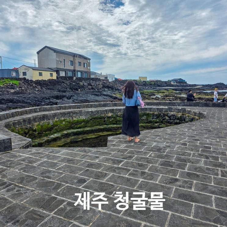 제주 청굴물 김녕 바다 앞에서 만난 맑은 용천수 여행