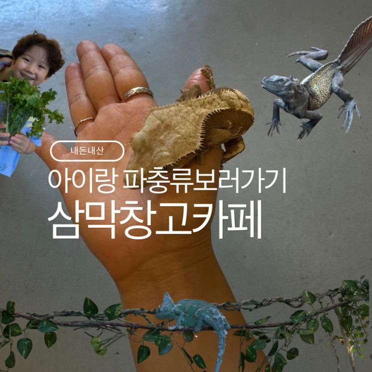 입장료가 커피시키기, 파충류 볼 수있는 삼막창고카페