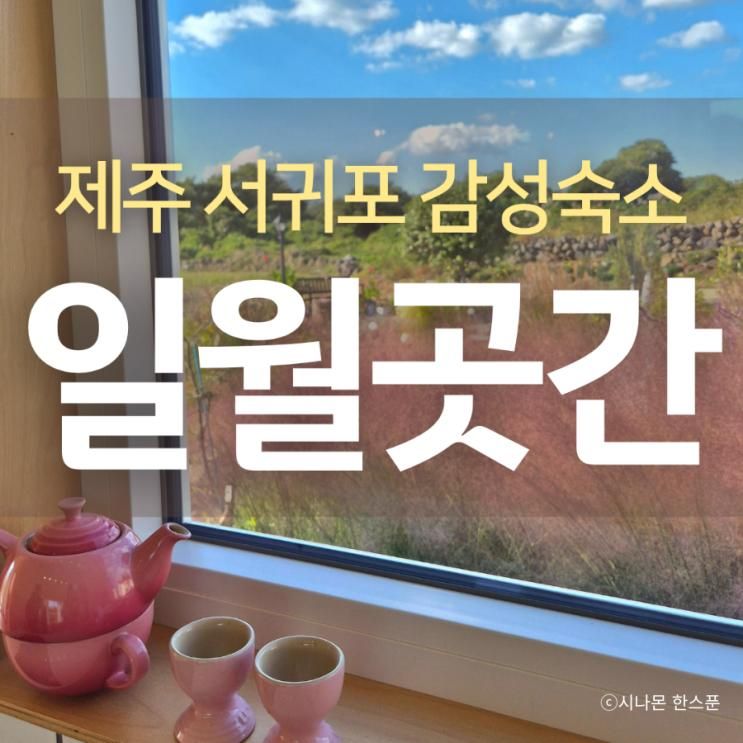 제주 감성숙소 사진 찍기 좋은 서귀포 독채 펜션 스테이 일월곳간