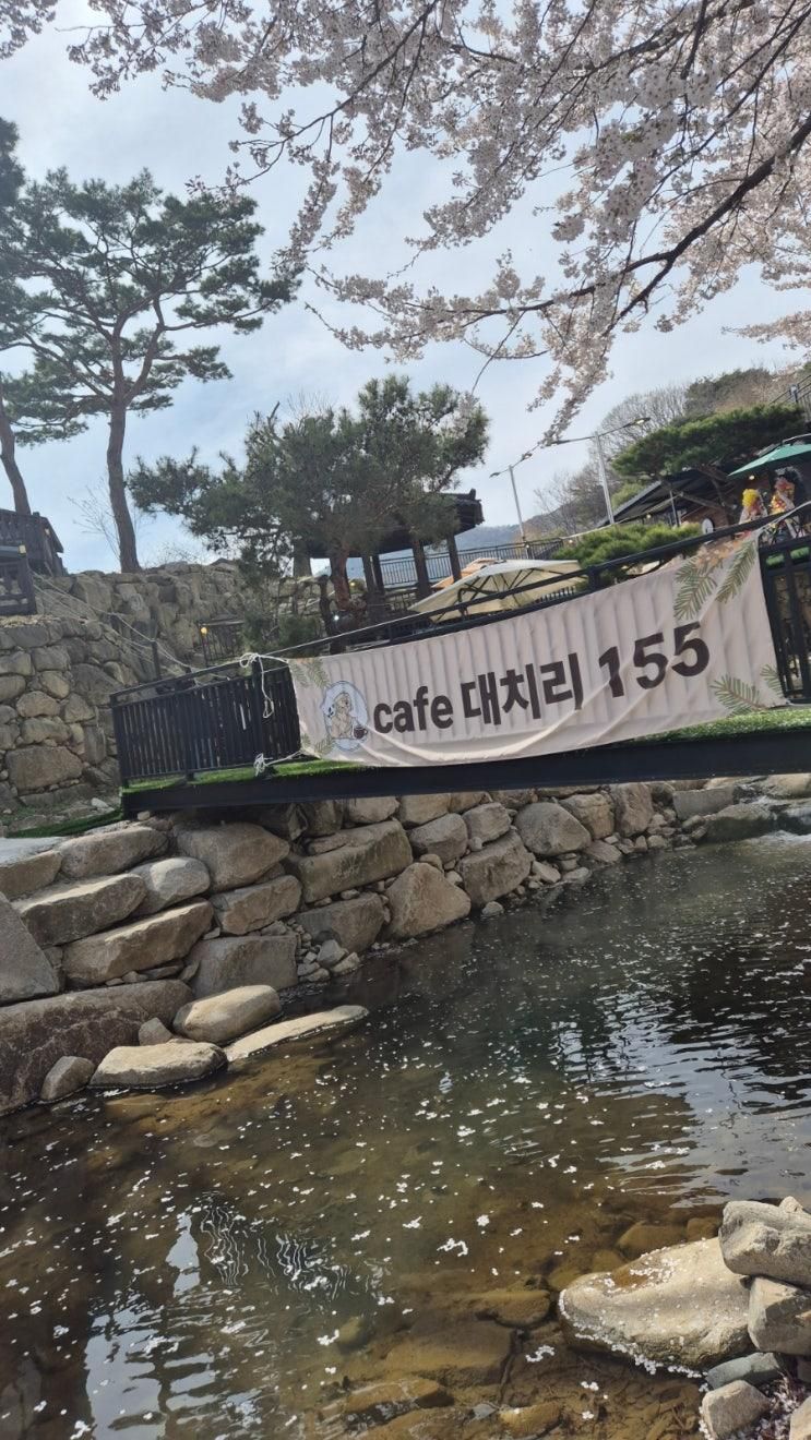 [CTN덕산카페]대치리155 벚꽃과 카페라떼