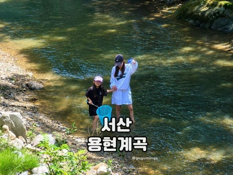 서산 용현계곡 백숙 용현집 평상 가격은?