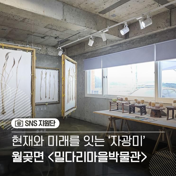 김포의 이색 박물관 '밀다리마을박물관'