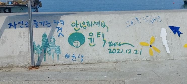 충남 태안 고남면 어케이션 3일 -5일차