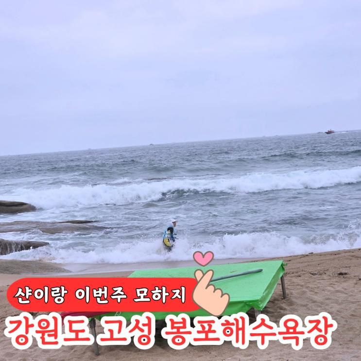강원도 고성 봉포해수욕장 8/3 너울성파도 일부 입수 통제 파도... 