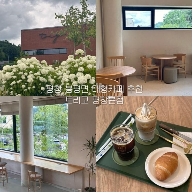 평창 대형 베이커리 카페 추천 트리고 평창본점