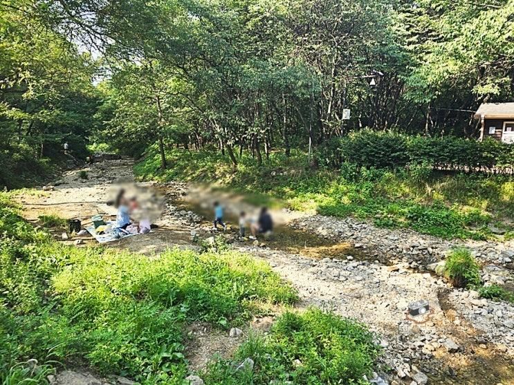 계양산 목상동 솔밭 계곡 가는 법 주차