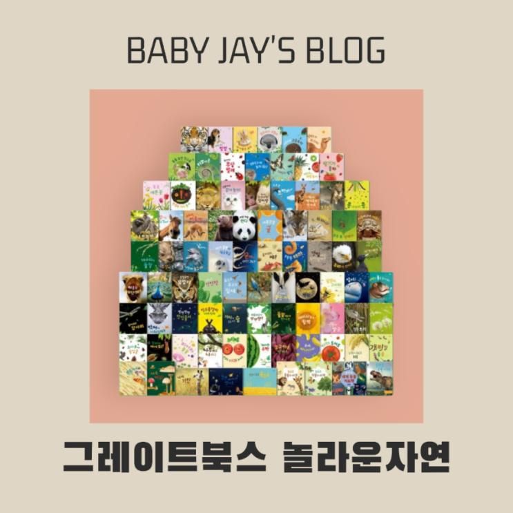 아기 4개월에 아기 첫 전집으로 들인 그레이트 북스 놀라운 자연