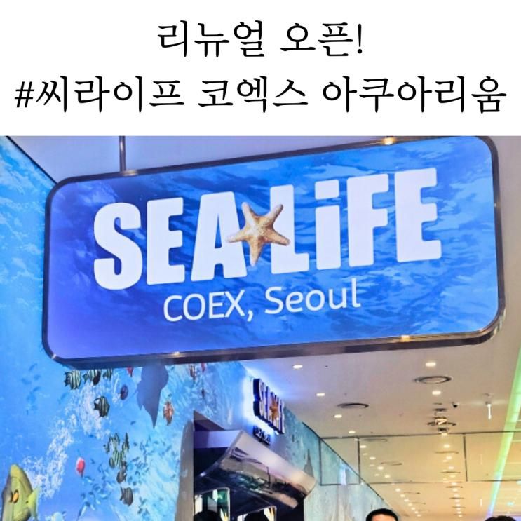씨라이프 코엑스 아쿠아리움 할인부터 공연·관람 소요시간·주차장 정보 총정