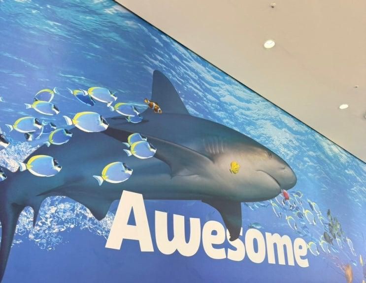 코엑스(씨라이프 아쿠아리움) + 봉은사 다녀옴!(코엑스에서 바닥만 보고 다녀도 길을 잃지 않아요)