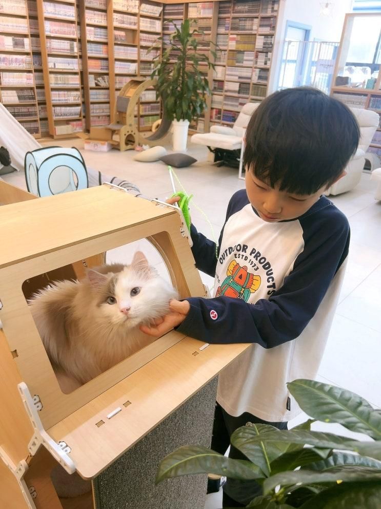 시간순삭 양주 고양이있는 여우별 만화카페 아이와방문 만족후기
