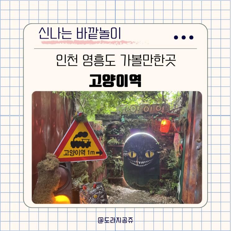 34개월 아기랑 가볼만한곳 인천 영흥도 고양이역 고양이 카페 입장....