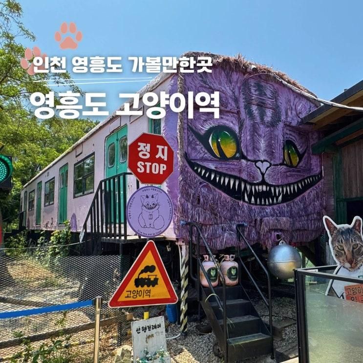 인천 가볼만한곳 추천 영흥도 고양이역 이색 데이트 코스