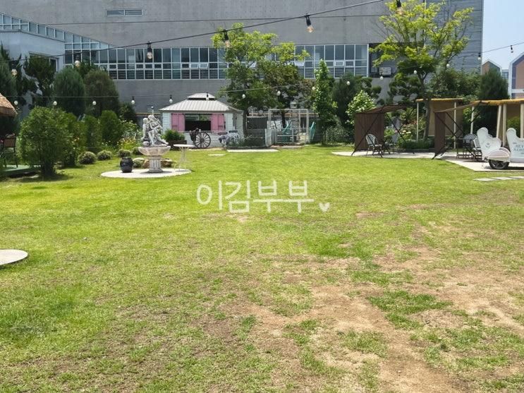 광주 아기랑 카페 귀여운 조랑말이 있는 매월동 헤이블루