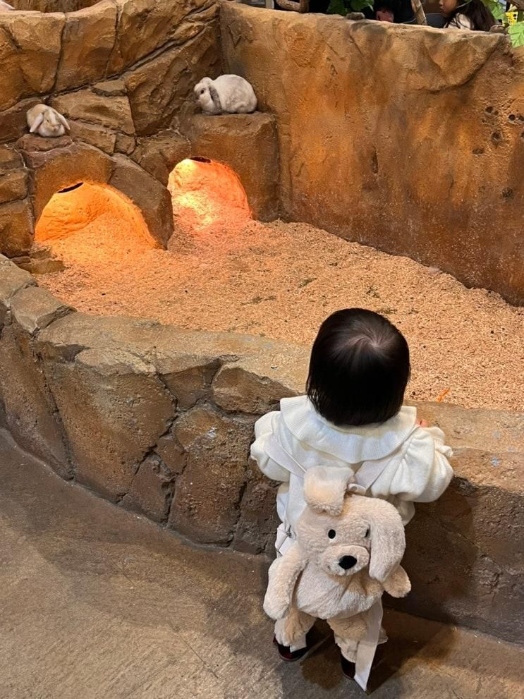 부산 명지 실내동물원 라라쥬 돌 아기랑 다녀온 후기