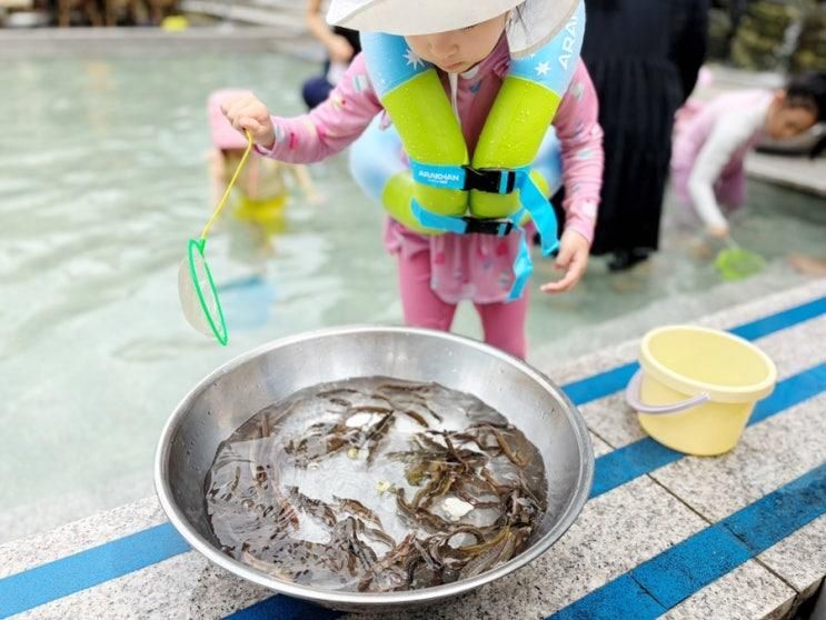 용인 6살 물놀이 미꾸라지잡기 카페, "괜찮아 고기리야"