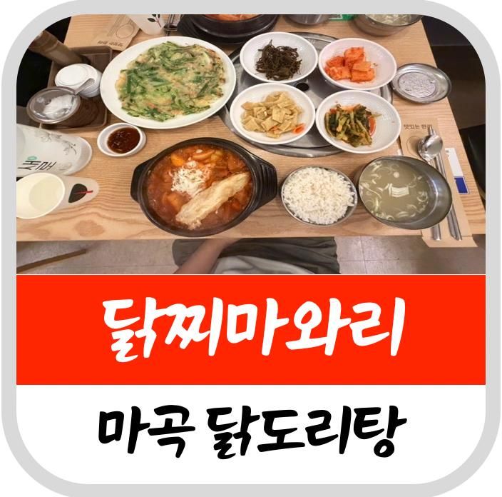 마곡역 닭도리탕(닭볶음탕) 맛집 닭찌마와리 내돈내산