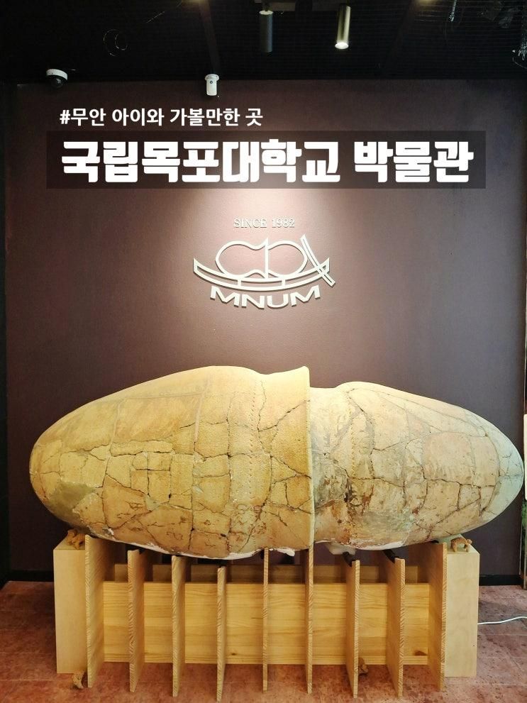 목포무안 아이와 가볼만한곳, 국립목포대학교 박물관! 신비로운 마한 옹관 미디어 전시와 역사 탐험