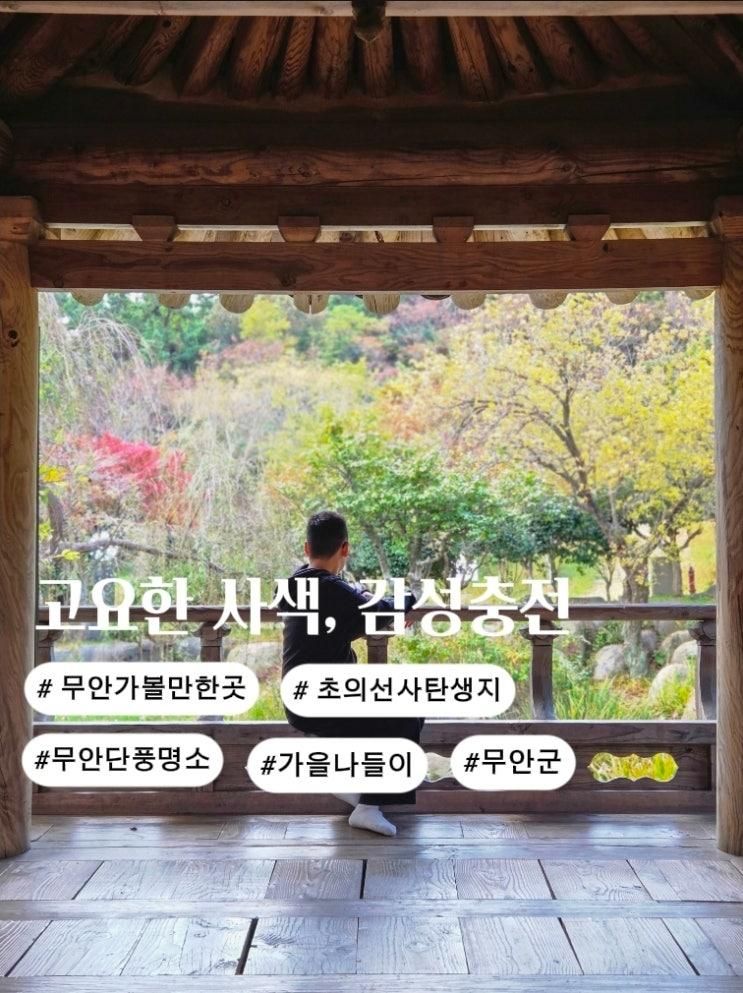무안 초의선사탄생지, 가을 단풍으로 물든 차향의 역사 속으로!