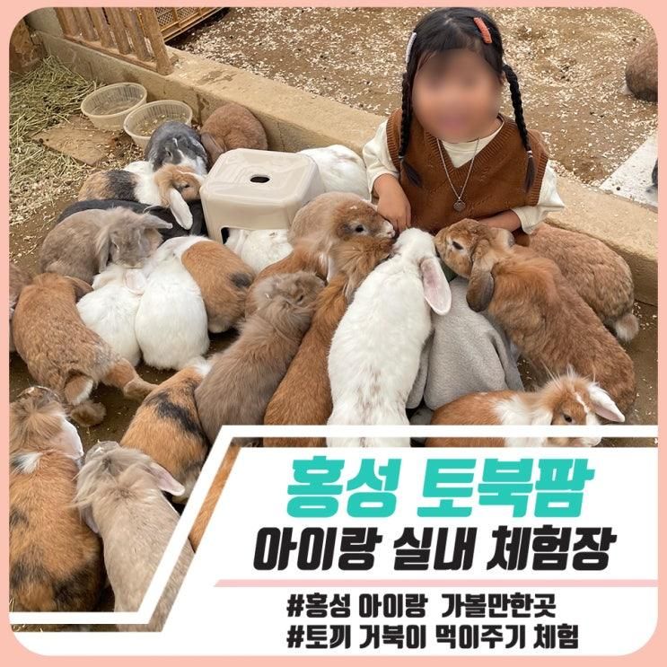 아이랑 홍성 예산 여행 / 토북팜 / 깨끗한 실내 농장체험 후기