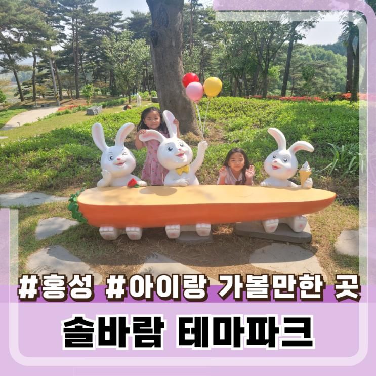 홍성 아이랑 가볼만한 곳 장곡면에 위치한 바람이 솔솔 불어오는 솔바람 테마파크 <현재는 무료 입장 정식개장 후 유료 전환>