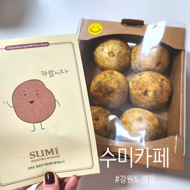 [강원도 평창] 강원도가면 꼭 먹어야할 감자빵 맛집 수미카페 감자빵