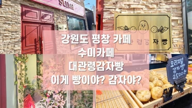 평창 수미카페 - 대관령감자빵, 감자야 빵이야?