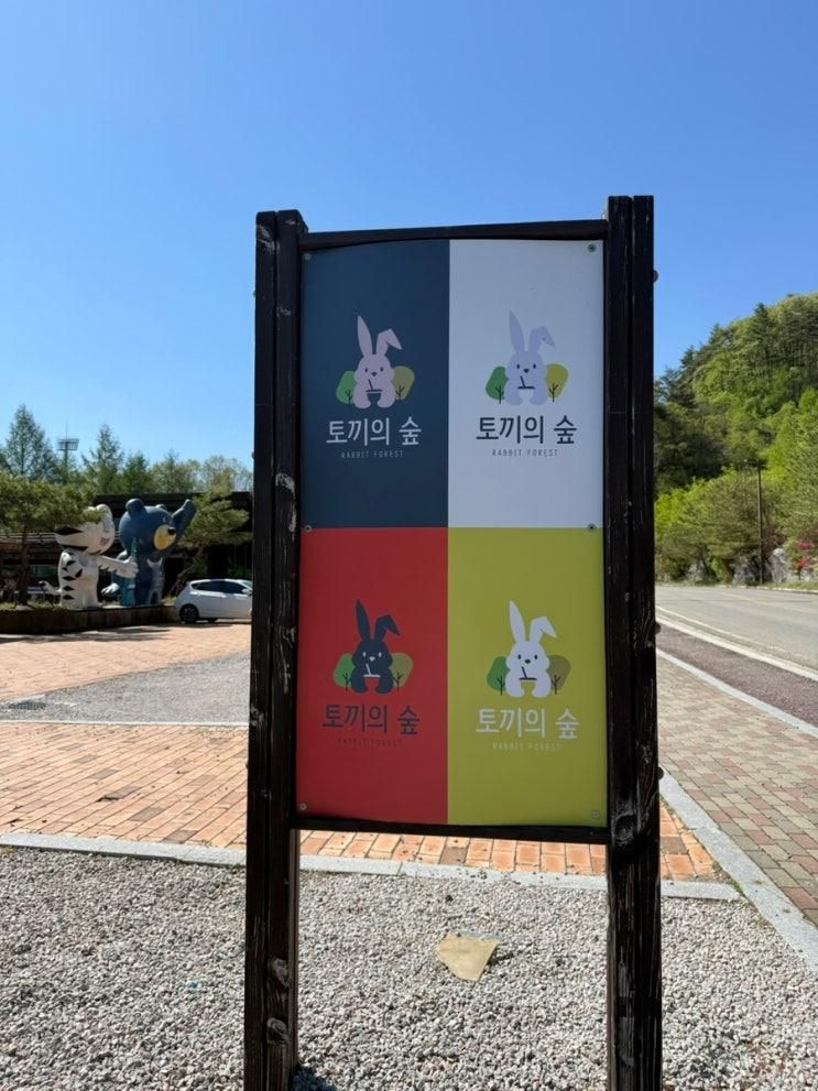 [아기랑] 🐇 평창 토끼의숲:: 강원도 아기랑 가볼만한 곳, 먹이주기 체험 가능한 평창 동물원