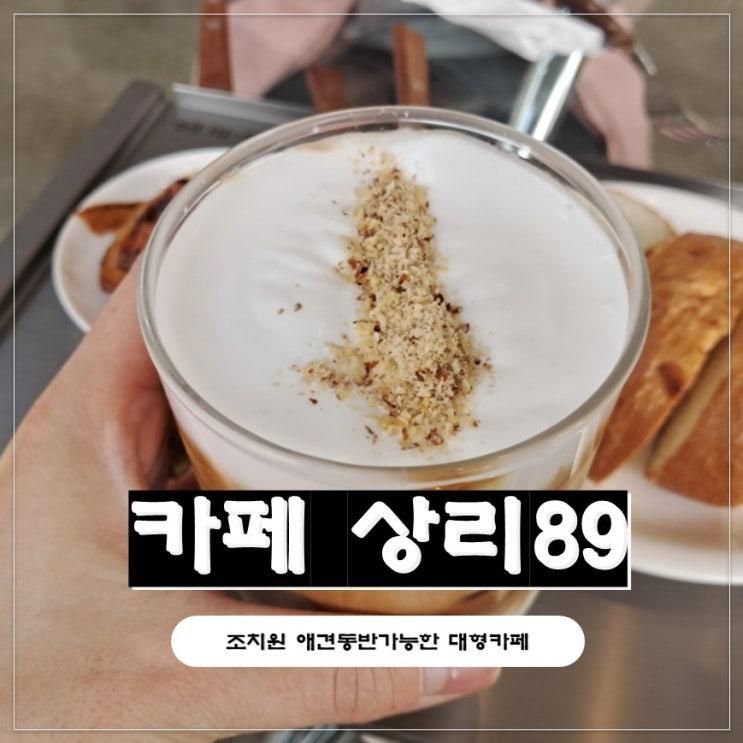 [조치원대형카페] 세종 애견동반 가능하고 잔디 마당 넓은 상리89 솔직 후기