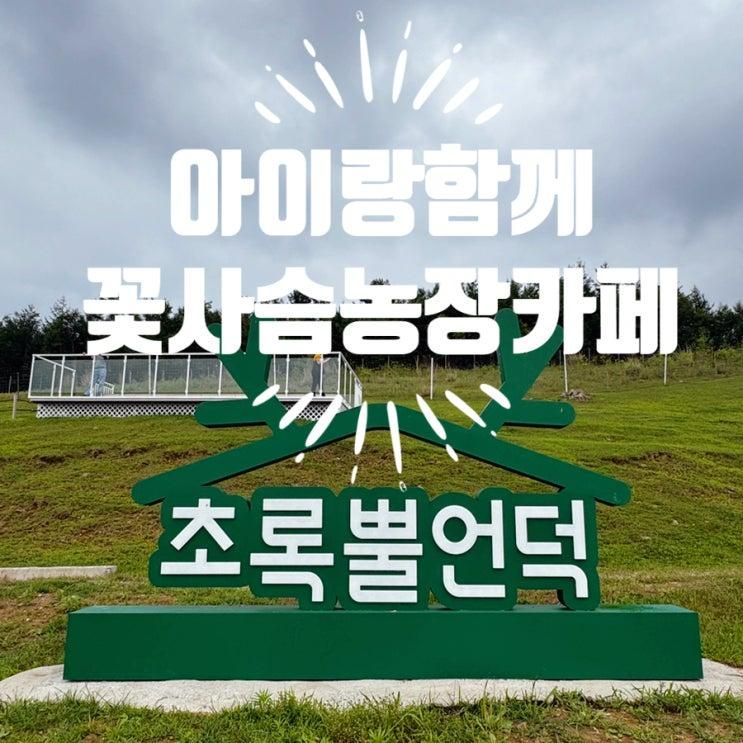 [강원 태백] 아이랑 함께 가기 좋은 꽃사슴농장 카페, 초록뿔언덕
