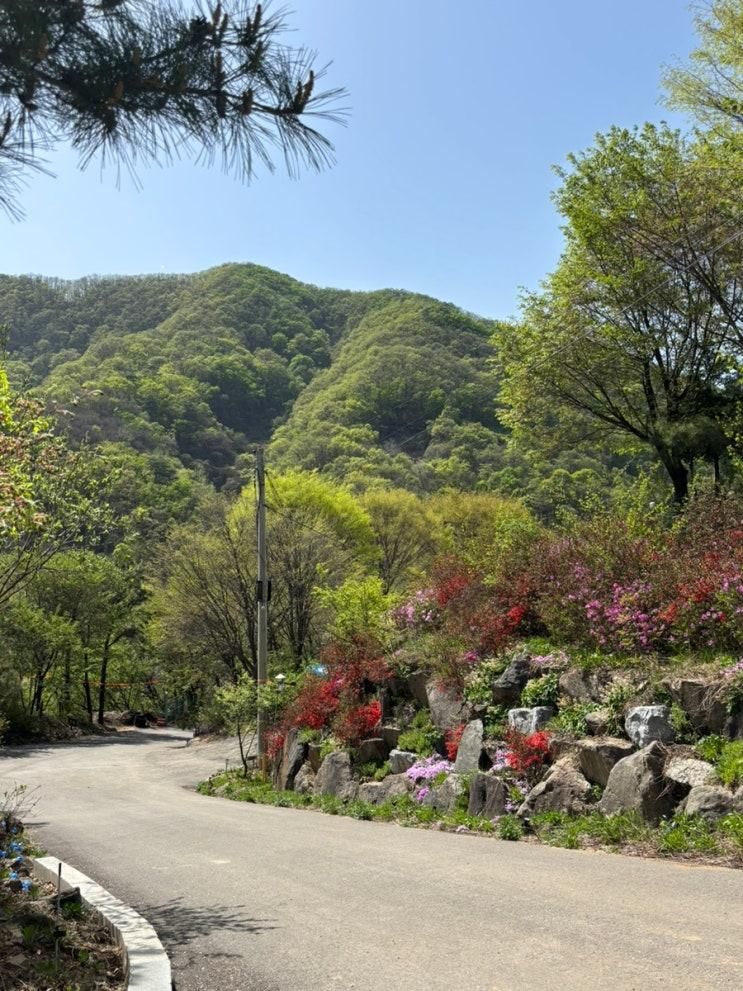 🌞포천캠핑장 휴앤스테이 오랜만의 1박2일 캠핑 아기랑