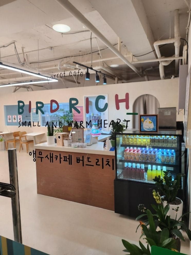 마곡 놀거리) 비오는날 아이랑 오기 좋은 앵무새카페 버드리치