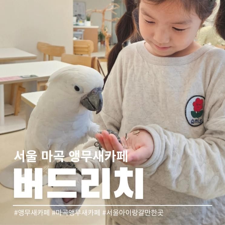 마곡 앵무새카페 버드리치, 서울 아이랑 갈만한 곳