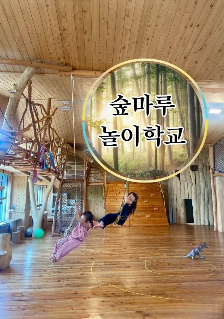 [안산 키즈카페] 가성비 좋은 원목 친환경 공간, 숲마루놀이학교 대여 후기