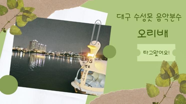 대구 수성못 오리배타고 음악분수 직관하기