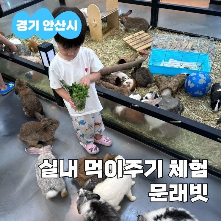안산 먹이주기체험 카페 문래빗 | 실내 아이랑 가볼만한 곳