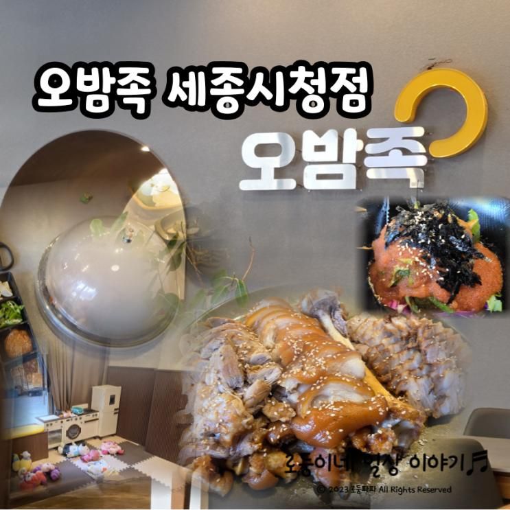 오밤족 세종시청점/족보세트 내돈내산, 놀이방, 개별룸, 예약, 주차, 회식 및 약속장소 강추