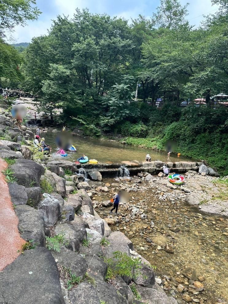 서울 근교 아이랑 물놀이 명소 과천향교 계곡 후기 여름방학 평일 방문 주차 준비물 팁