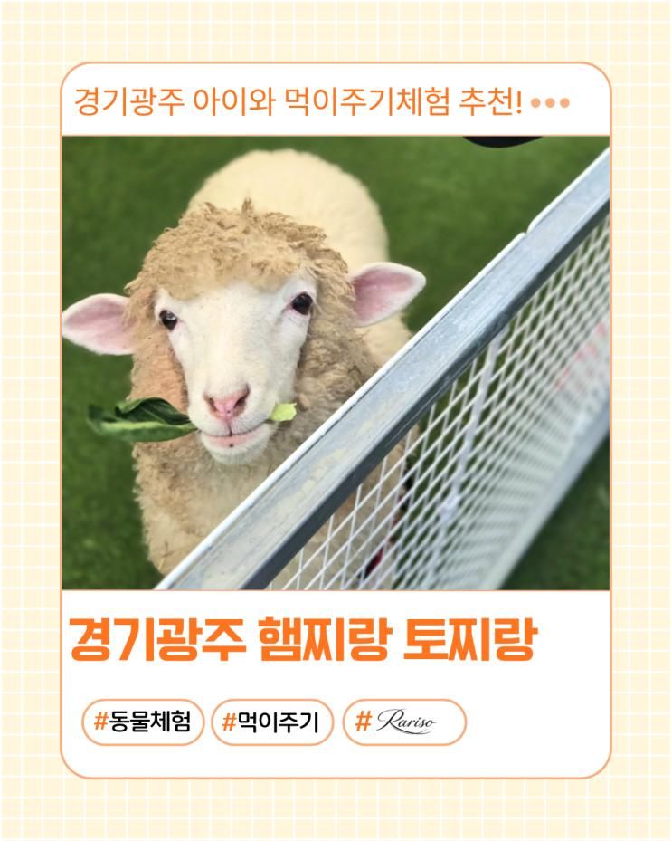경기광주 동물체험카페 햄찌랑토찌랑 후기, 아이랑 동물먹이 호수뷰까지