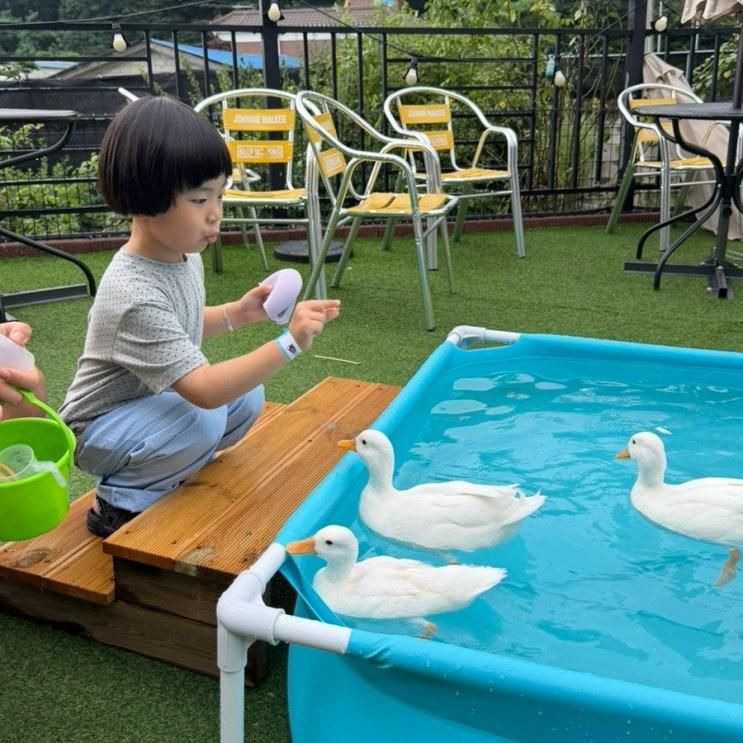 경기도 광주 아이랑 가볼만한곳 햄찌랑토찌랑 동물체험카페 내돈내산 후기