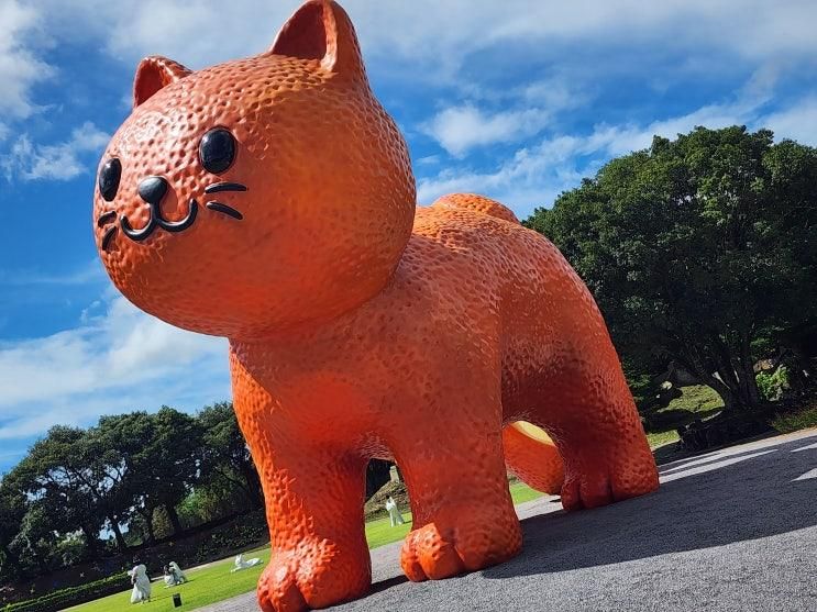 제주 서귀포 떠오르는 신상 핫플인 고양이 마을  돌코리 숲 (내돈내산, 아이랑)