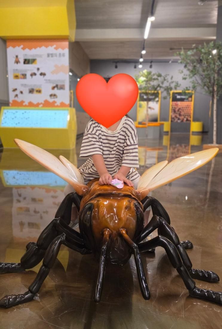 [괴산 아이랑 갈만한곳] 괴산 꿀벌랜드(꿀벌전시관, 꿀잼랜드 키즈카페, 카페허니비, 실외놀이터) 괴산여행
