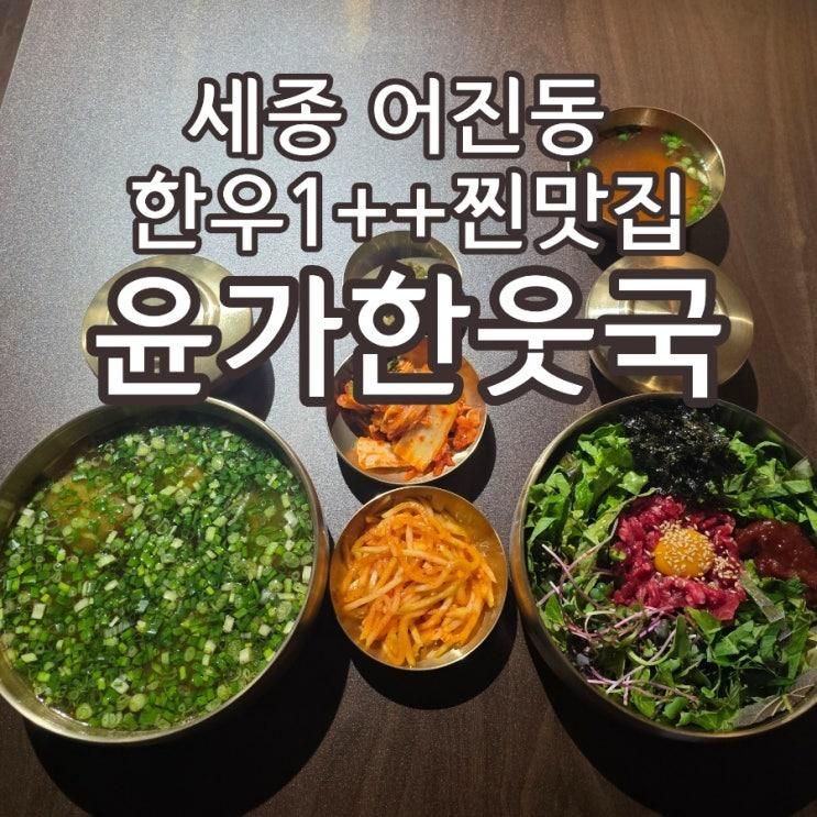 세종 어진동 맛집 윤가한웃국 한우1++ 맑은 한웃국 고추장 한우육회비빔밥